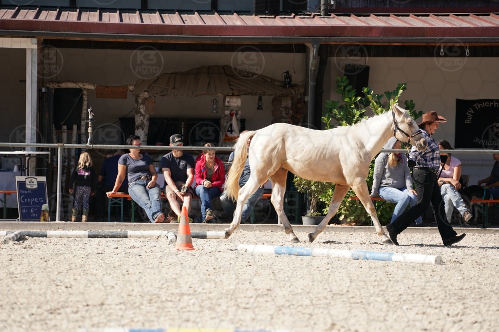 s_A_907524.JPG
